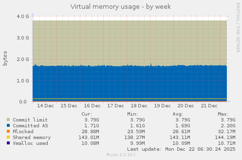 Virtual memory usage