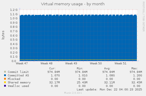 Virtual memory usage